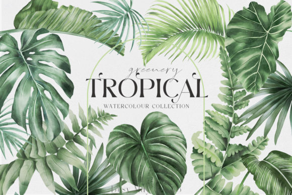 Download Tropical Greenery Jungle Rainforest PNG - Tropic Collection