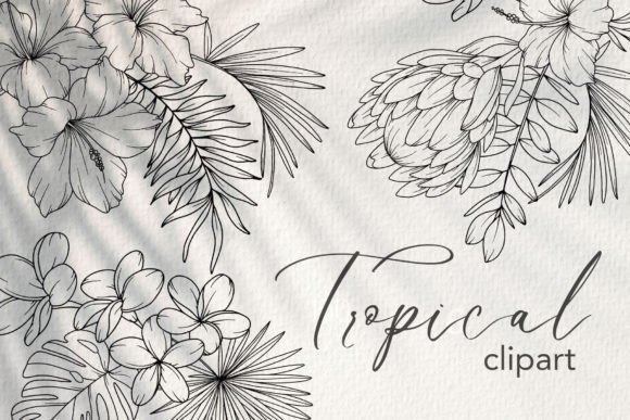 Download Tropical Flower LINE ART. Tropical Plant - Tropic Collection