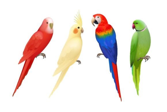 Download Parrots. Tropical Colorful Exotic Birds - Tropic Collection