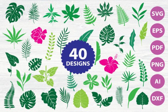 Download Monstera | Greenery | Tropical | Leaves - Tropic Collection